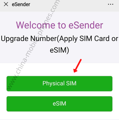 Select Physical SIM